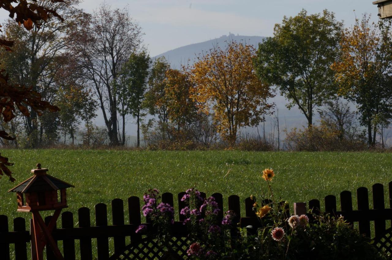 Wohnung Kammblick Annaberg-Buchholz Dış mekan fotoğraf